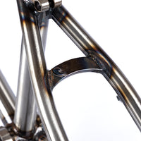 Tall Order 280 Frame - Gloss Raw | BMX